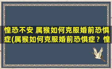 惶恐不安 属猴如何克服婚前恐惧症(属猴如何克服婚前恐惧症？惶恐不安的心情该如何缓解？)